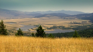 Planinski odmor na Zlatiboru