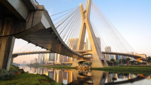 Sao Paulo: Sivi centar i zelena okolina